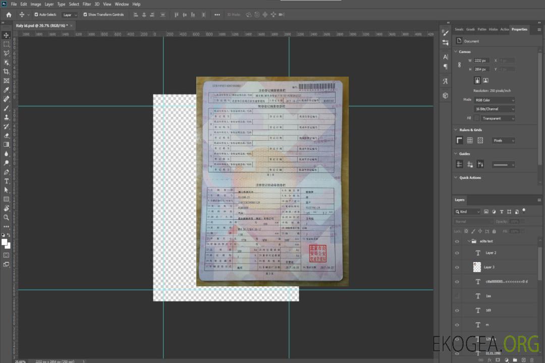 Certificat d'immatriculation du véhicule en Chine template